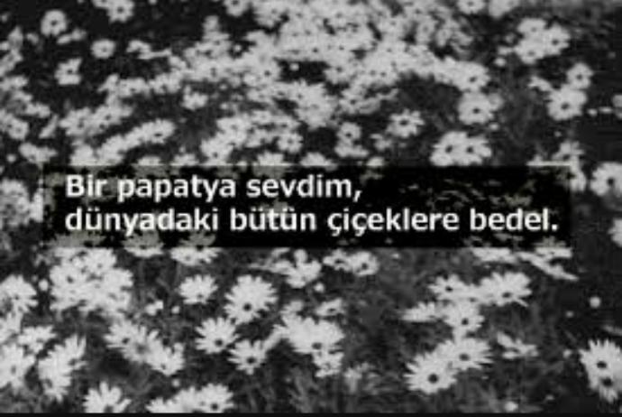 Papatyalar Gibi Güçlü Olun