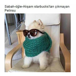 Erkeklerin 