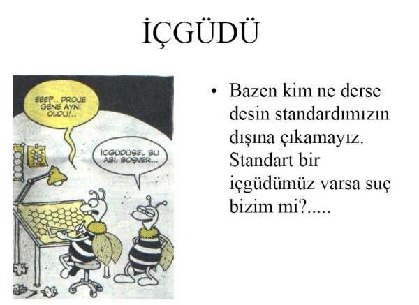 Kadınları Altadabilirsiniz!