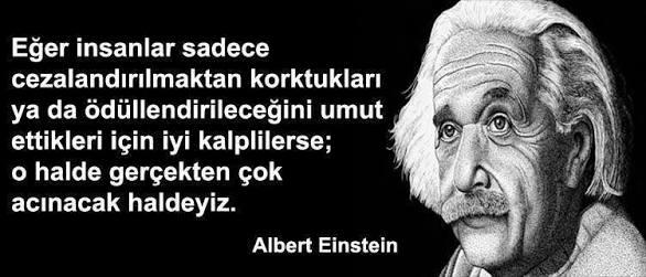 Ne Kadar İnsanız? Gelin Bir de Bu Pencereden Bakalım