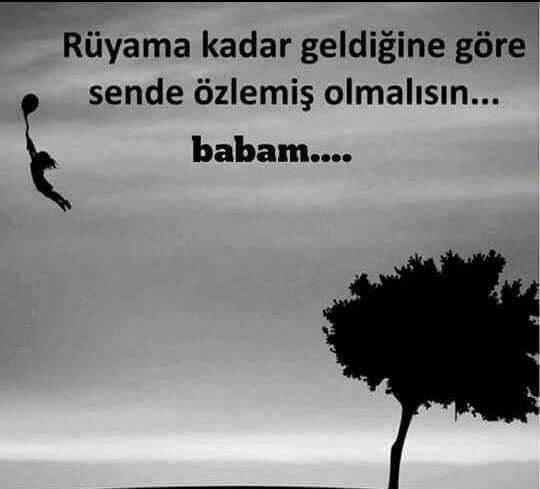 Belki Bir Babamız Olmadı Ama, Bizde Çok Bekledik Be Usta !