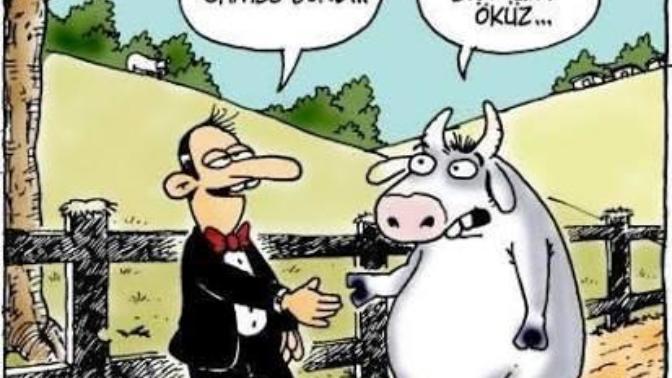 Öküz Burcu Erkekleri Tanıyalım