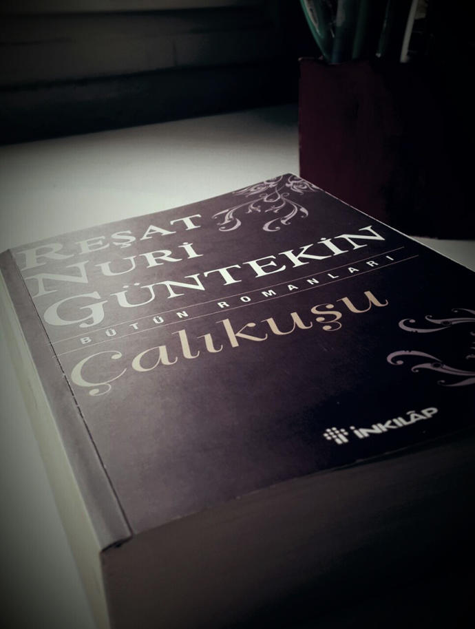 Aşık Olunacak 5 Kadın Roman Karakteri