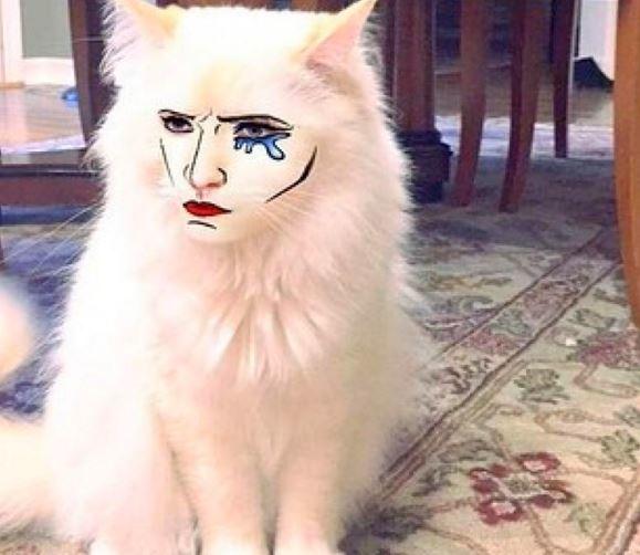 Snapchat Çılgınlığını Ponçik Hayvanları Üzerinde Deneyen Hayvan Sahipleri!