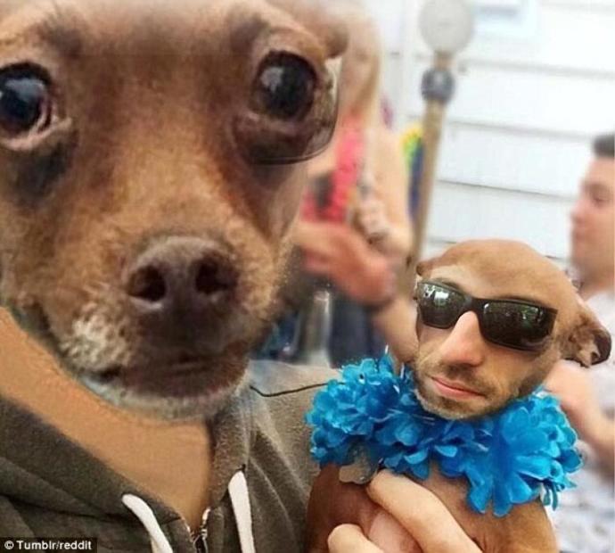 Snapchat Çılgınlığını Ponçik Hayvanları Üzerinde Deneyen Hayvan Sahipleri!