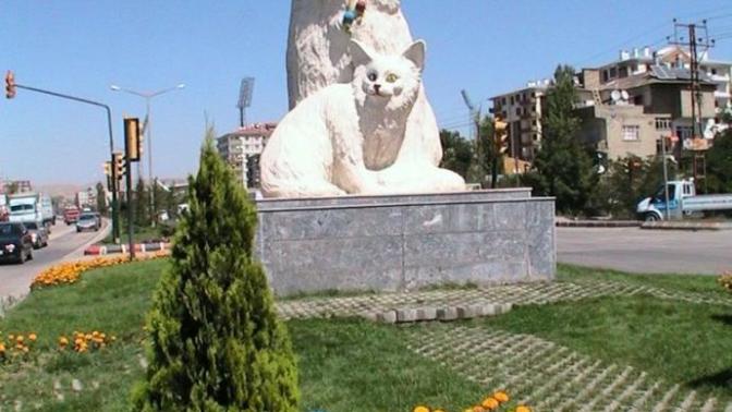 Sinema İle Tanışma Hikâyem