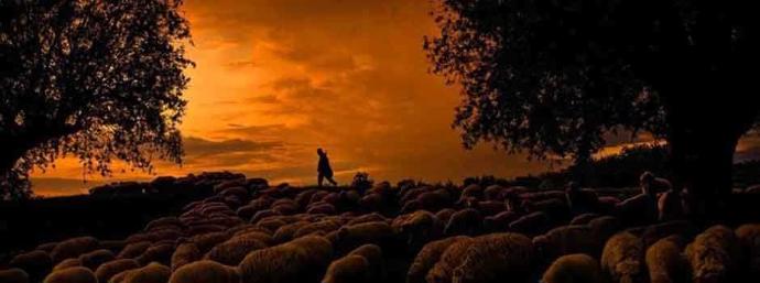 Yazları Çobanlık Yaptığım Öğrencilik Yıllarım