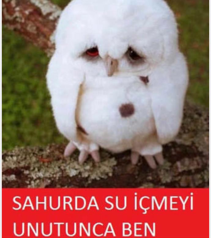 CAPS'ler Eşliğinde Hoş Geldin Ramazan!