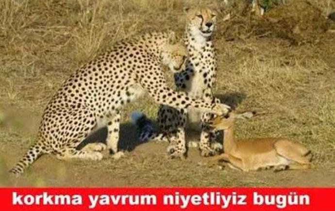 CAPS'ler Eşliğinde Hoş Geldin Ramazan!