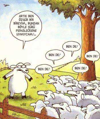 SÜRÜ PSİKOLOJİSİ HAKKINDA