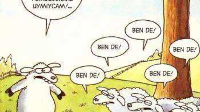 Sürü Psikolojisi Hakkında