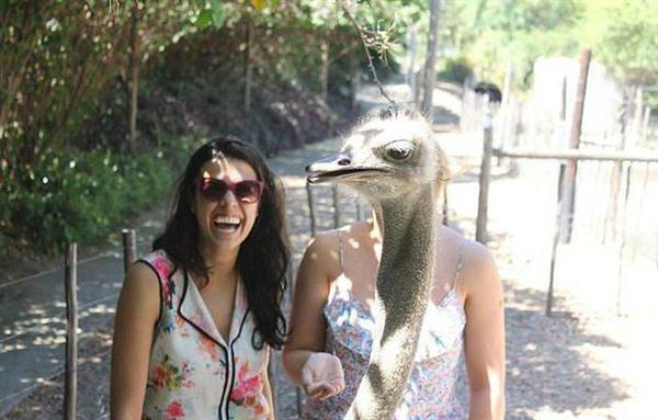 Beklenmedik Kareler Yakalayan Birbirinden Çılgın Fotoğraflar
