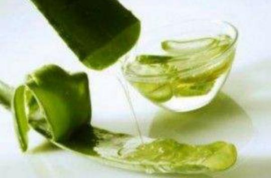 Aloe Vera Maske Tarifi ve Faydaları