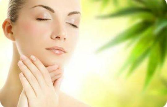 Aloe Vera Maske Tarifi ve Faydaları