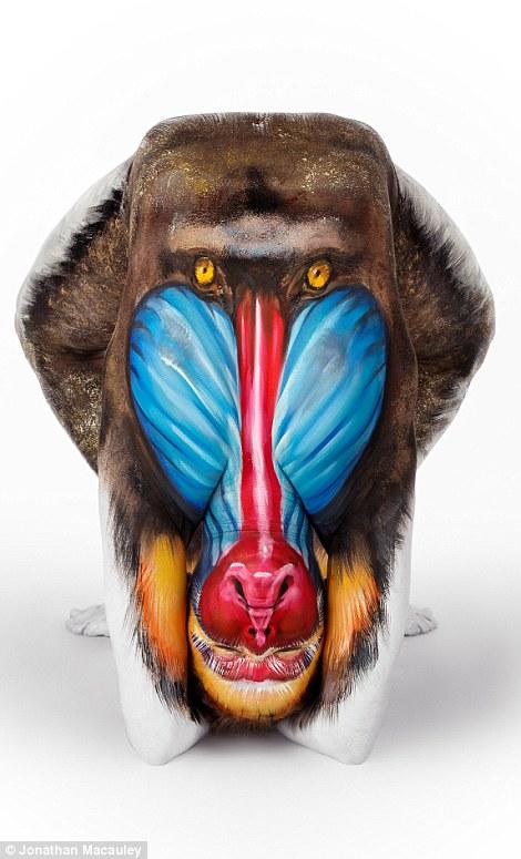 Hayvan Temalı Birbirinden Güzel Body Art Örnekleri