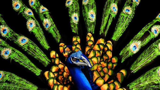 Hayvan Temalı Birbirinden Güzel Body Art Örnekleri