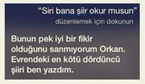 Türk Erkeğinin Siri ile İmtihanı