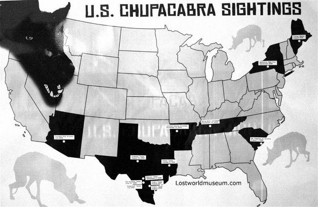 Amerika'nın Efsanevi Kan Emici Yaratığı: Chupacabra