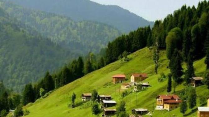 Karadeniz Bölgesi'ne Özgü Ürünlerden Cildinize Şifa Sağlayacak Doğal Bakım Formülleri
