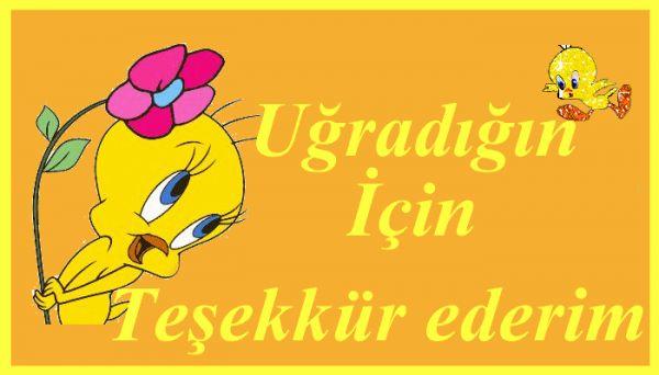 İkizler Erkeği Bir Hazinedir