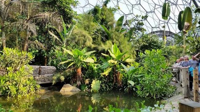 İngiltere'de Gerileyen Bahçecilik Anlayışına Tepkiden Doğan Bir Cennet: Eden Project