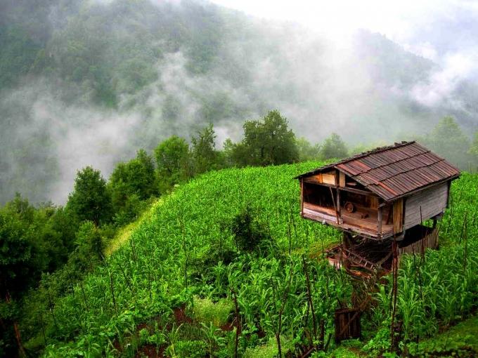 Karadeniz şarkılarının insanı rahatlatması.
