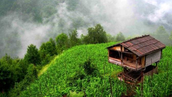 Karadeniz Şarkılarının İnsanı Rahatlatması 