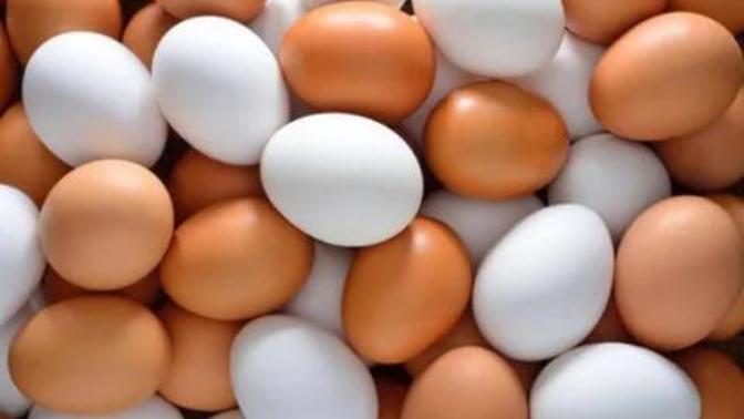 Kilo Vermeye Yardımcı Tok Tutan Yiyecekler