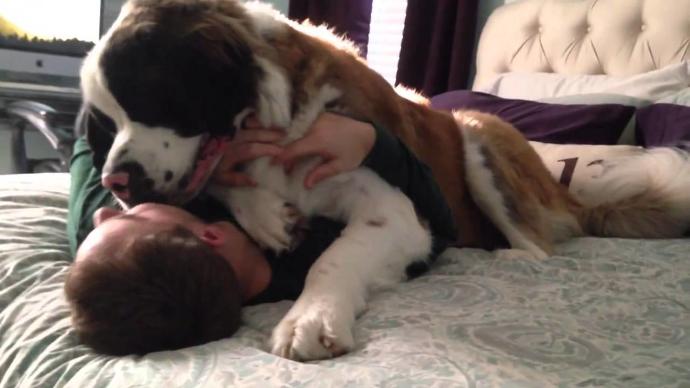 Yalnızca Köpek Sahiplerinin Yaşadığı Durumlar