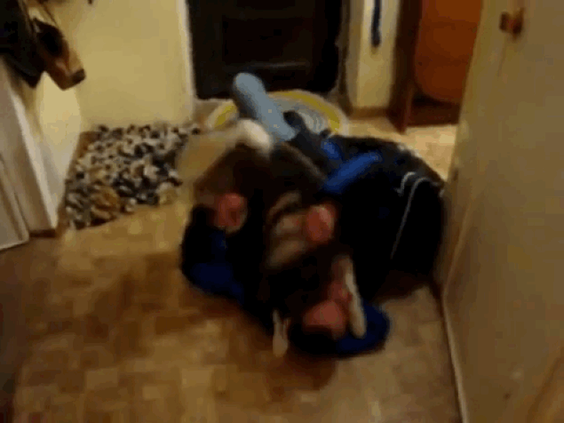 Yalnızca Köpek Sahiplerinin Yaşadığı Durumlar
