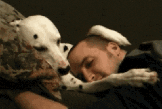 Yalnızca Köpek Sahiplerinin Yaşadığı Durumlar