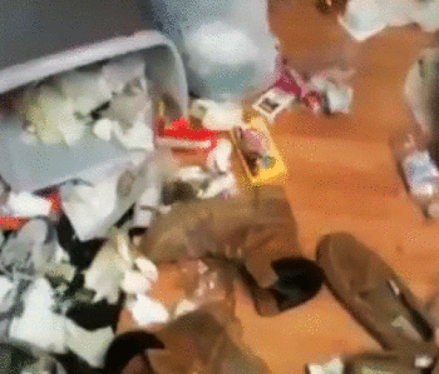 Yalnızca Köpek Sahiplerinin Yaşadığı Durumlar