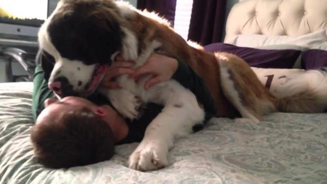 Yalnızca Köpek Sahiplerinin Yaşadığı Durumlar