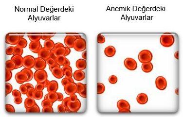 Saç Dökülmesi Nedenleri
