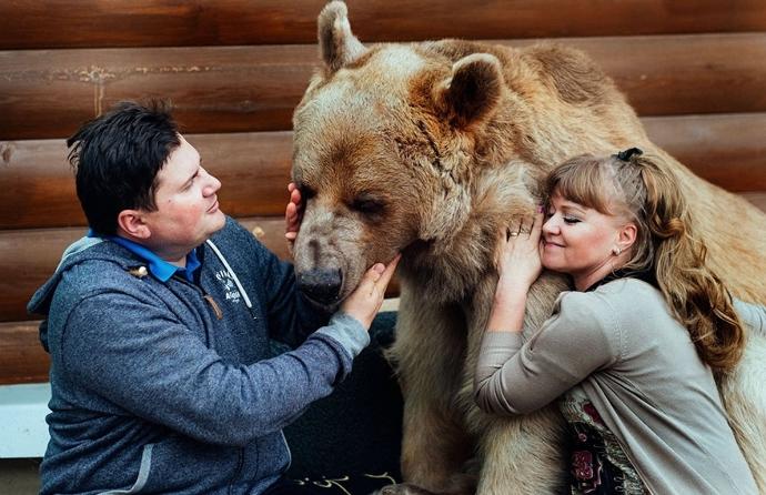 Rus Aile İle 23 Yıldır Yaşayan Ayıdan Kareler!