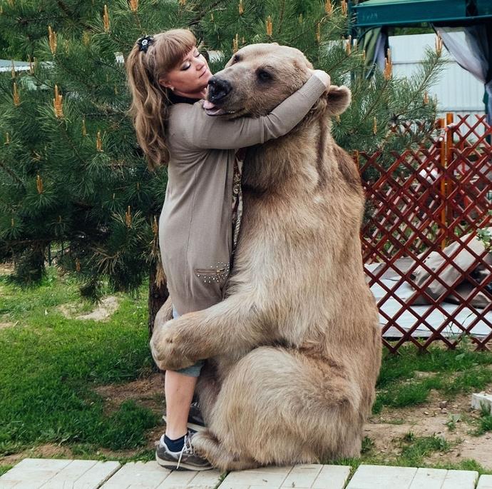 Rus Aile İle 23 Yıldır Yaşayan Ayıdan Kareler!
