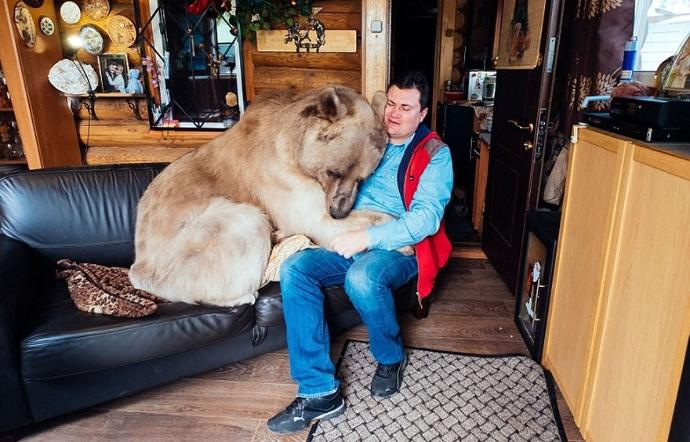 Rus Aile İle 23 Yıldır Yaşayan Ayıdan Kareler!