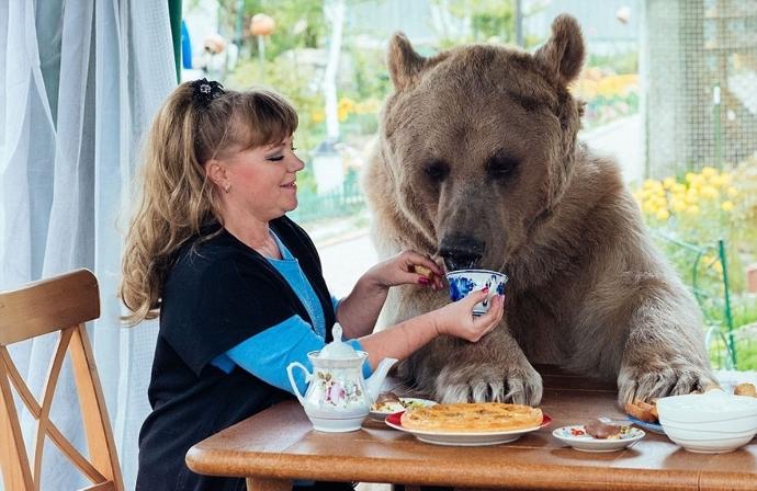 Rus Aile İle 23 Yıldır Yaşayan Ayıdan Kareler!