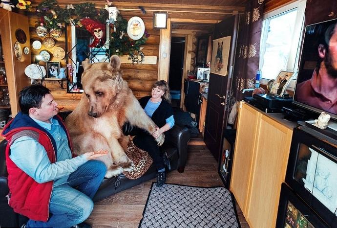 Rus Aile İle 23 Yıldır Yaşayan Ayıdan Kareler!