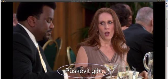 Dizi İzlerken Karşımıza Çıkan ve "Çevirmen Şaka Yapıyor Olsa Gerek" Dedirten Komik Alt Yazılar