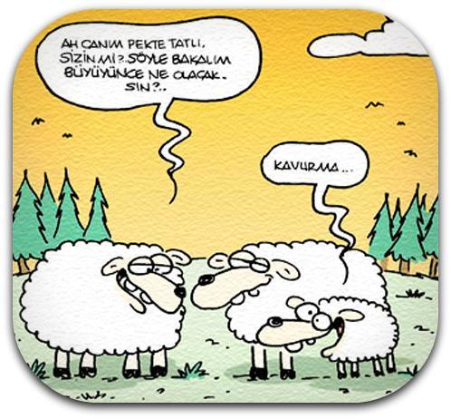 Eğitim Hayatı ve Bilinmeyenler