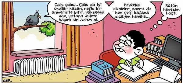 Eğitim Hayatı ve Bilinmeyenler