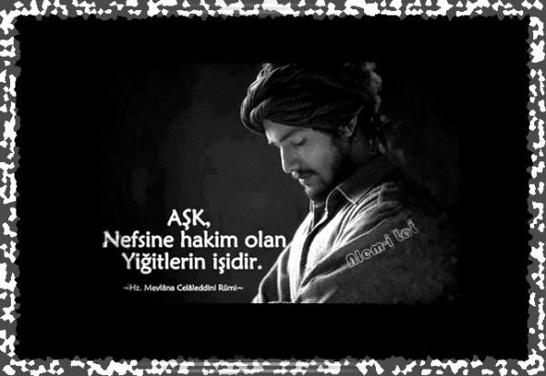 Sen Aşık Değilsin Sadece Hormonların Devrede