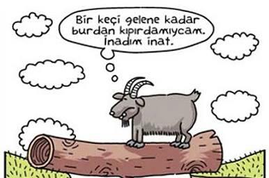 Erkeğin Partnerinden Beklentileri