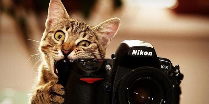 Fotoğraflarda Mükemmel Çıkmanız İçin 3 Püf Nokta!