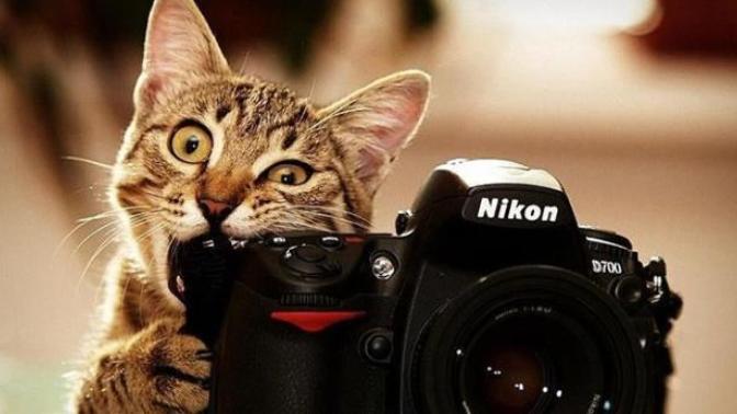Fotoğraflarda Mükemmel Çıkmanız İçin 3 Püf Nokta!