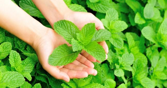 Ramazanda Ortaya Çıkan Ağız Kokusunu Giderme Yolları