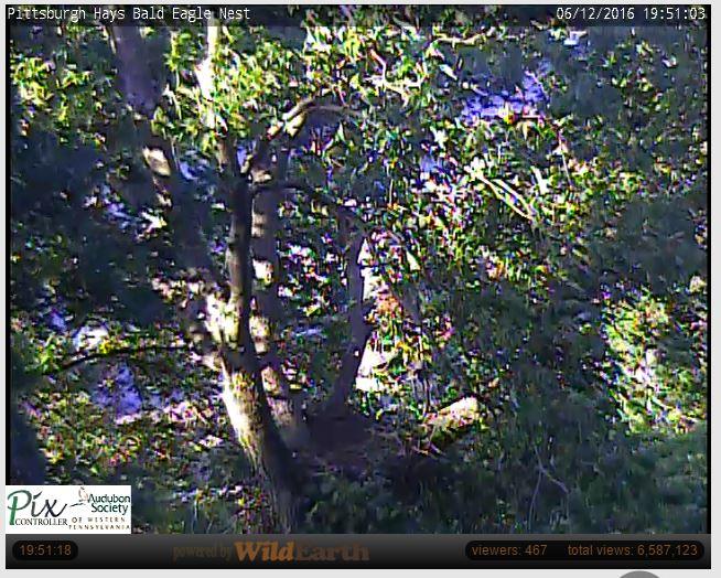 Şu Anda Açıp İzleyebileceğiniz Birbirinden İlginç Webcam'ler!