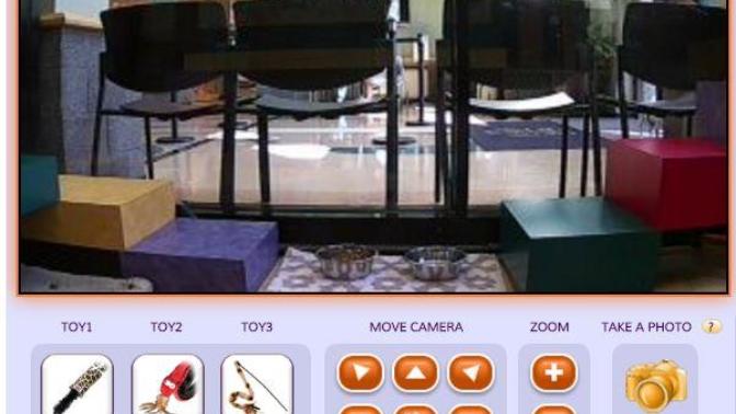 Şu Anda Açıp İzleyebileceğiniz Birbirinden İlginç Webcam'ler!