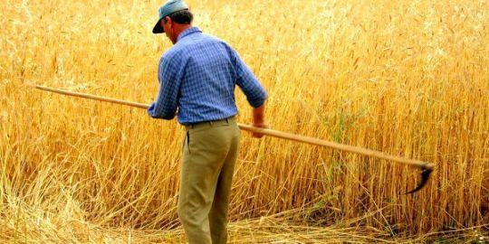Sokaklara Düşen Aşıklar